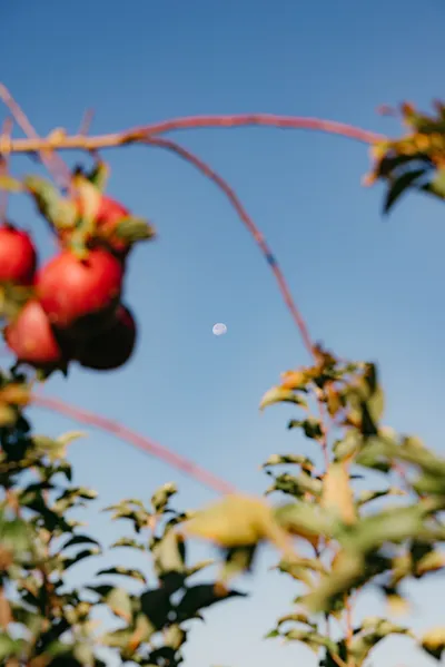 Radiant Harvest Wallpaper Space Wallpaper 4K 3905x5850 Gray
