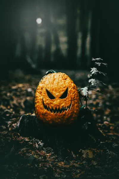 Halloween Pumpkin Close Abstract Wallpaper 4K 4268x6402 Orange
