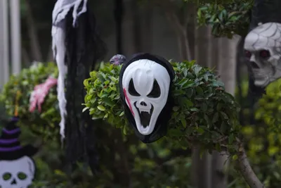 Dreamy Halloween Wallpaper Abstract Wallpaper 4K 4332x2888 White, Gray