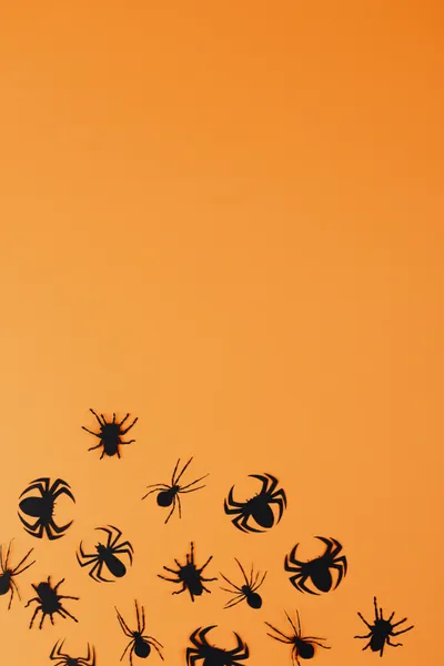 Black Paper Spiders Orange Halloween Black/Dark Wallpaper 4K 4480x6720 Orange, Purple