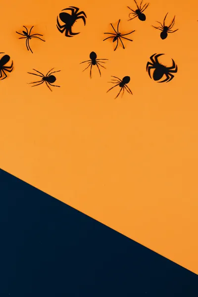 Black Paper Spiders Orange Halloween Black/Dark Wallpaper 4K 3946x5919 Purple, Orange