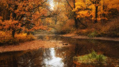 Crisp Serene Wallpaper Nature Wallpaper 4K 1920x1080 Hd, Pc, Desktop, Wallpaper, Of, A, Serene, Fall, Scene, Featuring, Calm, River, White, Gray, Brown, Ultrawide, Full HD