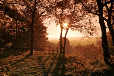 Serene Fall Landscape Wallpaper 4K, Nature category