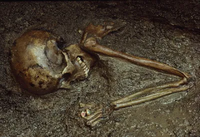 Serene Dark Wallpaper Black/Dark Wallpaper 4K 1600x1097 Dark, Hd, Pc, Desktop, Wallpaper, A, Weathered, Skull, Skeleton, Half-buried, Mud, Forearms, Gray, Brown, Landscape