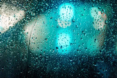 Crisp Close Wallpaper Wallpaper 4K, Abstract category