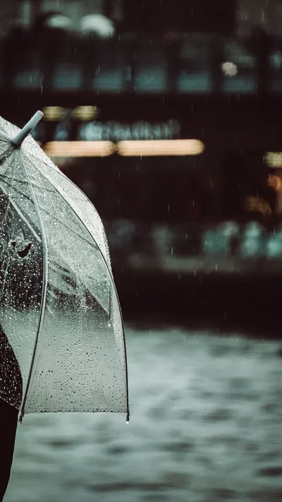 Transparent Umbrella Rainy Day Abstract Wallpaper 4K 3376x6000 Gray