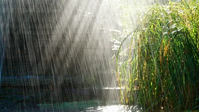 Rain Cave Abstract Wallpaper 4K, Abstract category