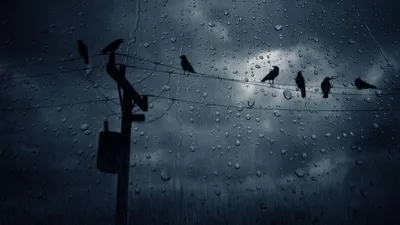 Sad Rain Wallpaperaccess Abstract Wallpaper 4K 1600x900 Gray