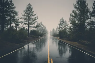 Bright Rain Wallpaper Abstract Wallpaper 4K 7718x5148 Gray