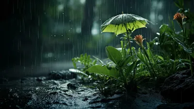 Bright Rain Wallpaper Abstract Wallpaper 4K 3497x1960 Gray