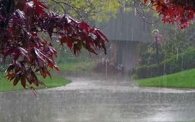 Bright Rain Wallpaper Wallpaper 4K, Abstract category