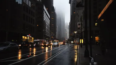 Calm Rain Wallpaper Wallpaper 4K, World category