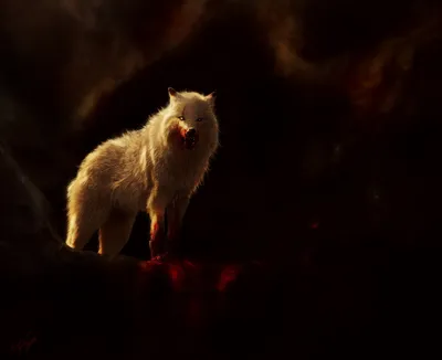 Bold Haunting Wallpaper Animals Wallpaper 4K 4093x3333 A, Haunting, Hd, Desktop, Wallpaper, Featuring, White, Wolf, Bloodstained, Fur, Set, Against, Brown, Orange, Square, 4k