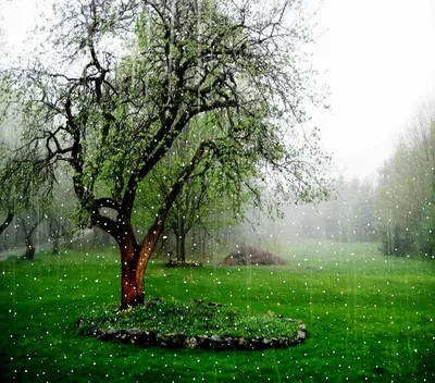 Radiant Rainy Wallpaper Abstract Wallpaper 4K 1700x1499 White