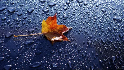 Rain Your Abstract Abstract Wallpaper 4K 2048x1152 Brown, Gray
