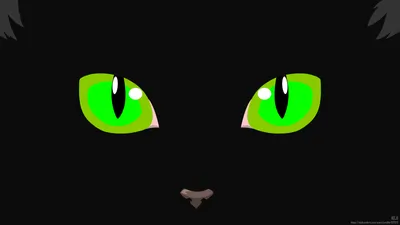 Golden Minimalist Wallpaper Animals Wallpaper 4K 7680x4320 Hd, Minimalist, Desktop, Wallpaper, Featuring, A, Black, Background, Artistic, Close-up, Cat, 039, Green, Ultrawide, 4K