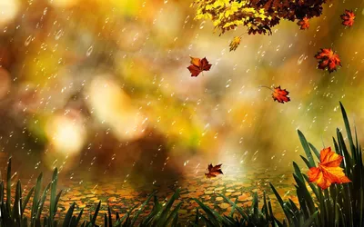 Falling Rain Abstract Wallpaper 4K, Abstract category