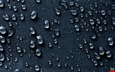 Crisp Rain Wallpaper Wallpaper 4K, Abstract category
