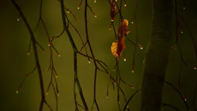 Rain Images Abstract Wallpaper 4K, Abstract category