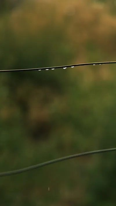 Raindrops Wire Blurred Abstract Wallpaper 4K 3512x6240 Brown