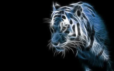 Moody Fractal Wallpaper Animals Wallpaper 4K 1920x1200 A, Stunning, Hd, Desktop, Wallpaper, Featuring, Fractal, Design, White, Tiger, Set, Against, Gray, Ultrawide, Full HD