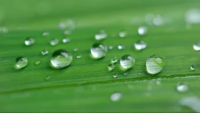 Misty Rain Wallpaper Wallpaper 4K, Abstract category