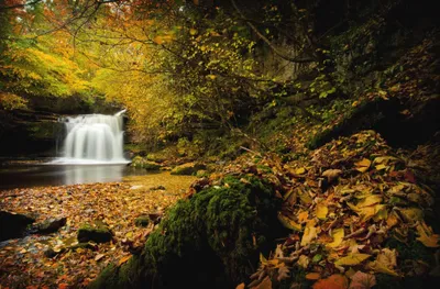 Fall Nature Small Wallpaper 4K, Nature category