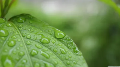 Sleek Rain Wallpaper Abstract Wallpaper 4K 3840x2160 Gray