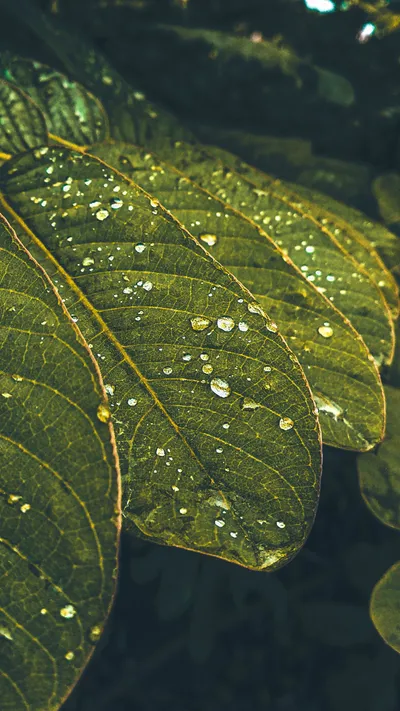Crisp Water Wallpaper Abstract Wallpaper 4K 1578x2805 Brown