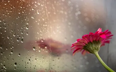 Dreamy Rain Wallpaper Wallpaper 4K, Abstract category