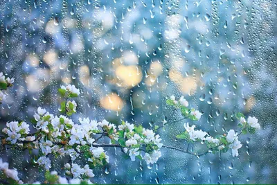 Spring Rain Com Wallpaper 4K, Abstract category