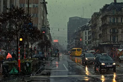 Calm Rain Wallpaper World Wallpaper 4K 2048x1356 Gray