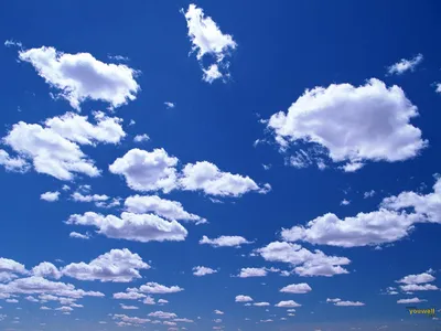 Sleek Vibrant Wallpaper Wallpaper 4K, Nature category