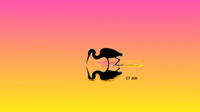 Minimalist Silhouette Ibis Bird Minimal Wallpaper 4K 2000x1125 Minimalist, Hd, Desktop, Wallpaper, Featuring, A, Silhouette, Of, Ibis, Bird, Reflection, Colorful, Pink, Gray, Yellow, Ultrawide, Full HD