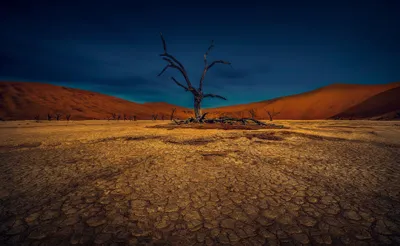 Dark Desert Wallpaper Wallpaper 4K, Nature category