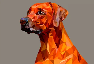 Abstract Low Poly Polygonal Dog Abstract Wallpaper 4K 3408x2336 Abstract, Low, Poly, Polygonal, Dog, Portrait, In, Warm, Orange, Tones, Featuring, Faceted, Gray, Landscape, QHD