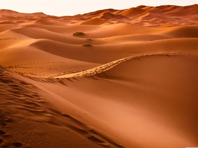 Misty Desert Wallpaper Technology Wallpaper 4K 6400x4800 White