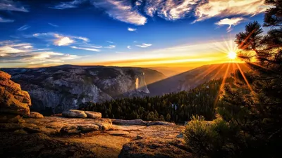 Bold Definition Wallpaper Wallpaper 4K, Abstract category