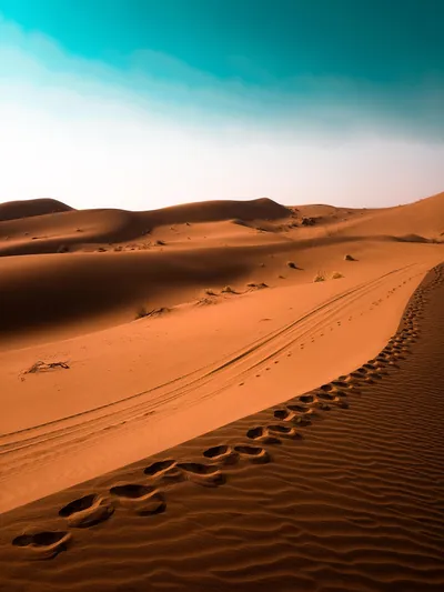 Footsteps Desert Nature Nature Wallpaper 4K 3000x4000 White, Orange