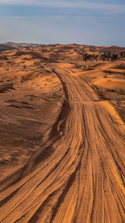 Radiant Dirt Wallpaper Nature Wallpaper 4K 1978x3517 Brown, Orange