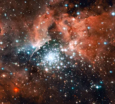 Giant Nebula Ngc Space Wallpaper 4K 3904x3549 The, Giant, Nebula, Ngc, 3603, Orange, Gray, Brown, Square, 4K