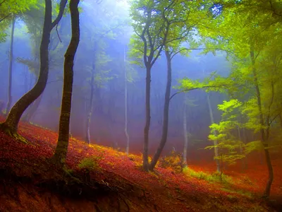 Bold Serene Wallpaper Wallpaper 4K, Nature category