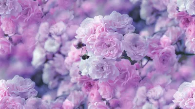 Definition Close Pastel Wallpaper 4K, Abstract category