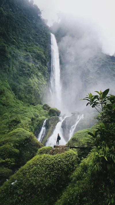 Misty Exploring Wallpaper Wallpaper 4K, Nature category