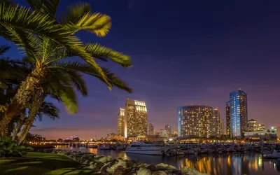 Nighttime Cityscape San Diego World Wallpaper 4K 1920x1200 Nighttime, Cityscape, Of, San, Diego, Featuring, Illuminated, Buildings, Palm, Trees, Reflected, Calm, Brown, Ultrawide, Full HD