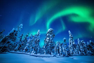 Winter Forest Aurora Wallpaper 4K, Nature category