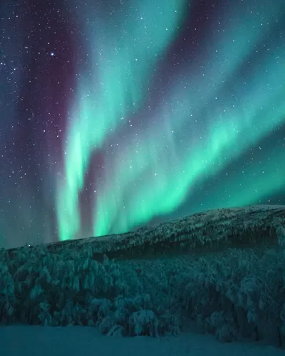Aurora Lights Borealis Wallpaper 4K, Space category