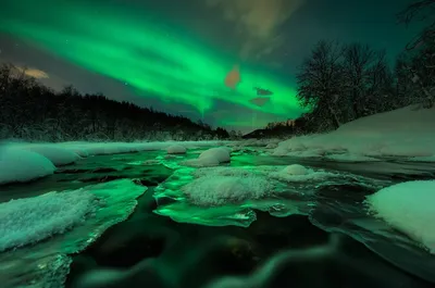 Bold Aurora Wallpaper Wallpaper 4K, Space category