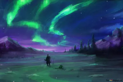 Aurora Borealis Night Sky Wallpaper 4K, Space category