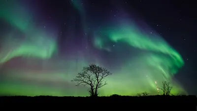 Dark Aurora Wallpaper Wallpaper 4K, Space category